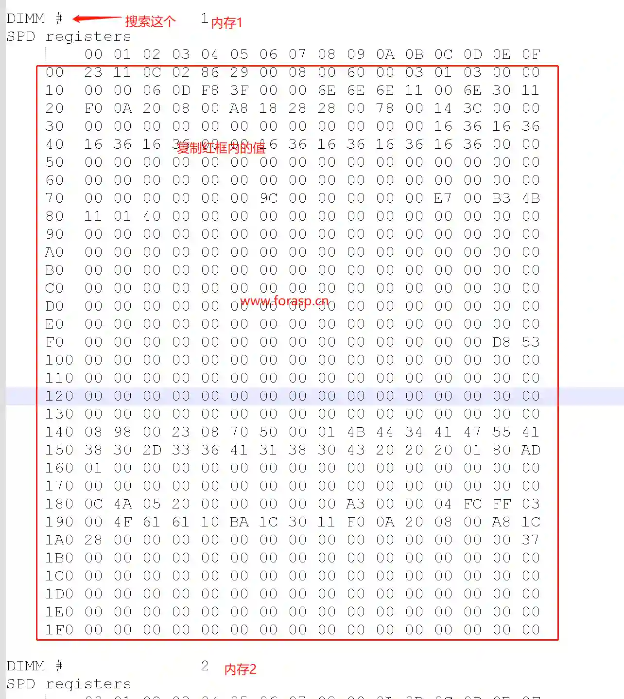 thaiphoon burner has not detected any SPD EEPROM