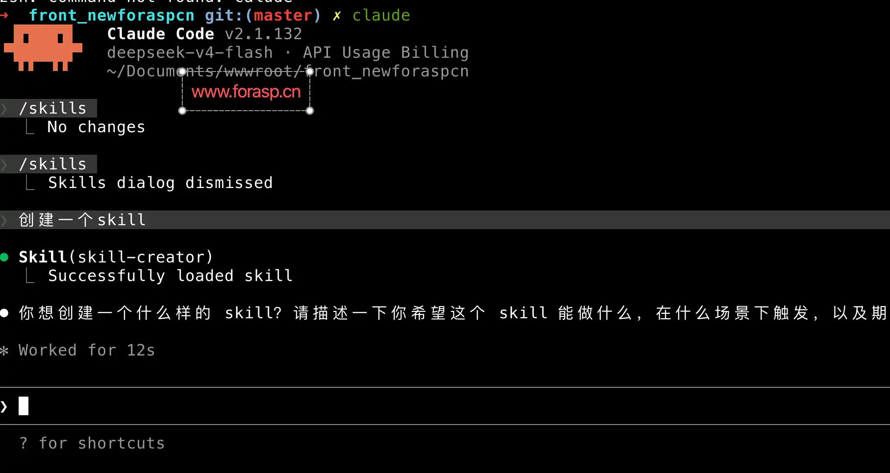 claude code skills教程